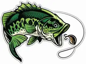 Perch Fishing Stickers Window  – Desk Setup For Laptop Bewertung und Preis